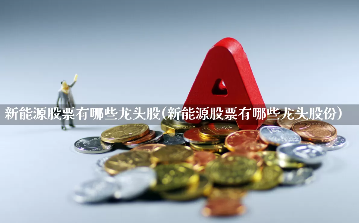 新能源股票有哪些龙头股(新能源股票有哪些龙头股份)_https://www.xzdzcjx.com_北交所_第1张