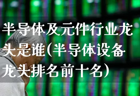 半导体及元件行业龙头是谁(半导体设备龙头排名前十名)_https://www.xzdzcjx.com_北交所_第1张