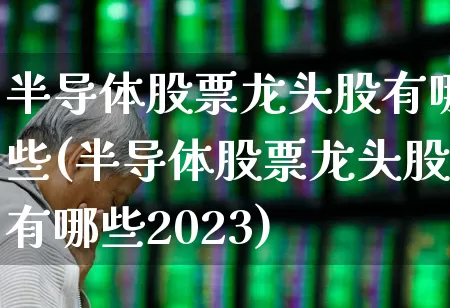 半导体股票龙头股有哪些(半导体股票龙头股有哪些2023)_https://www.xzdzcjx.com_科创板_第1张