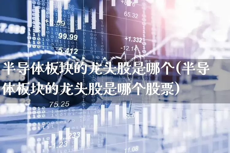 半导体板块的龙头股是哪个(半导体板块的龙头股是哪个股票)_https://www.xzdzcjx.com_上交所_第1张