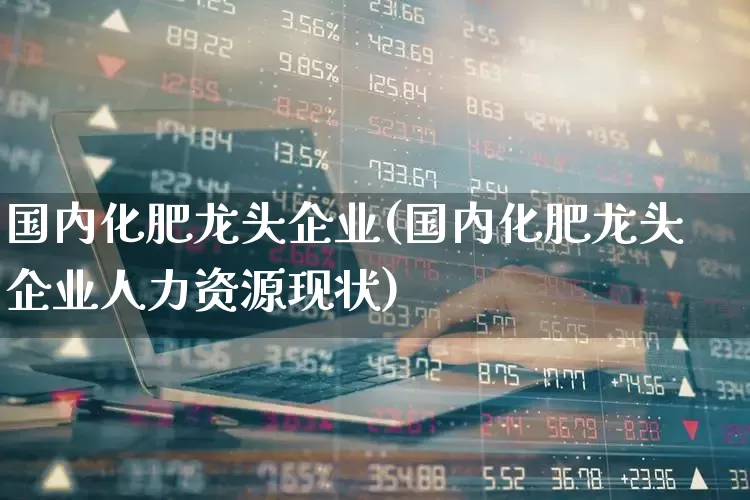 国内化肥龙头企业(国内化肥龙头企业人力资源现状)_https://www.xzdzcjx.com_创业板_第1张