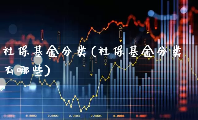 社保基金分类(社保基金分类有哪些)_https://www.xzdzcjx.com_深交所_第1张