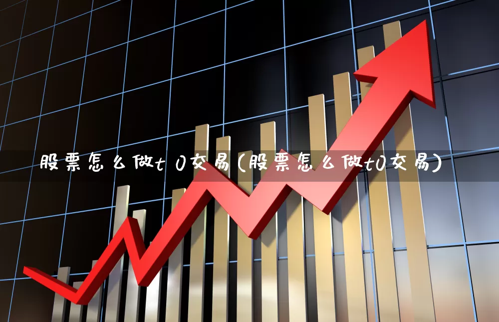 股票怎么做t 0交易(股票怎么做t0交易)_https://www.xzdzcjx.com_深交所_第1张