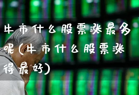 牛市什么股票涨最多呢(牛市什么股票涨得最好)_https://www.xzdzcjx.com_上交所_第1张