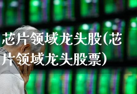 芯片领域龙头股(芯片领域龙头股票)_https://www.xzdzcjx.com_北交所_第1张
