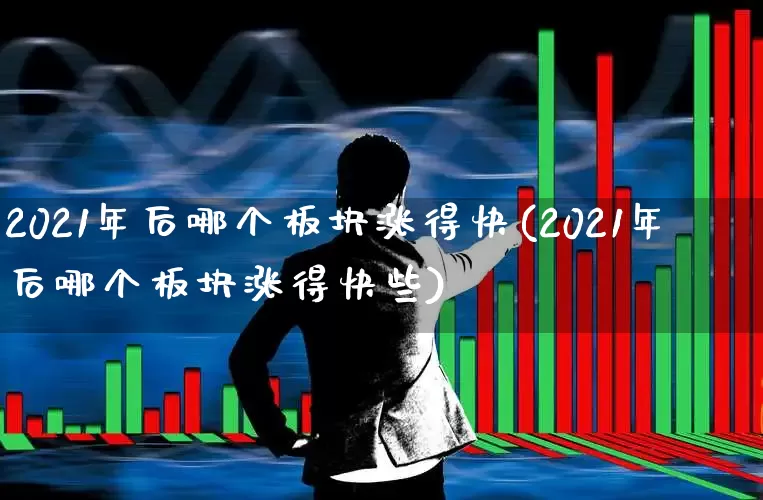 2021年后哪个板块涨得快(2021年后哪个板块涨得快些)_https://www.xzdzcjx.com_北交所_第1张