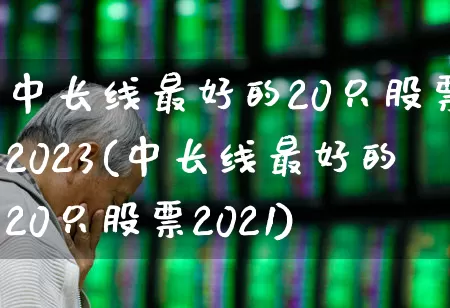 中长线最好的20只股票2023(中长线最好的20只股票2021)_https://www.xzdzcjx.com_北交所_第1张