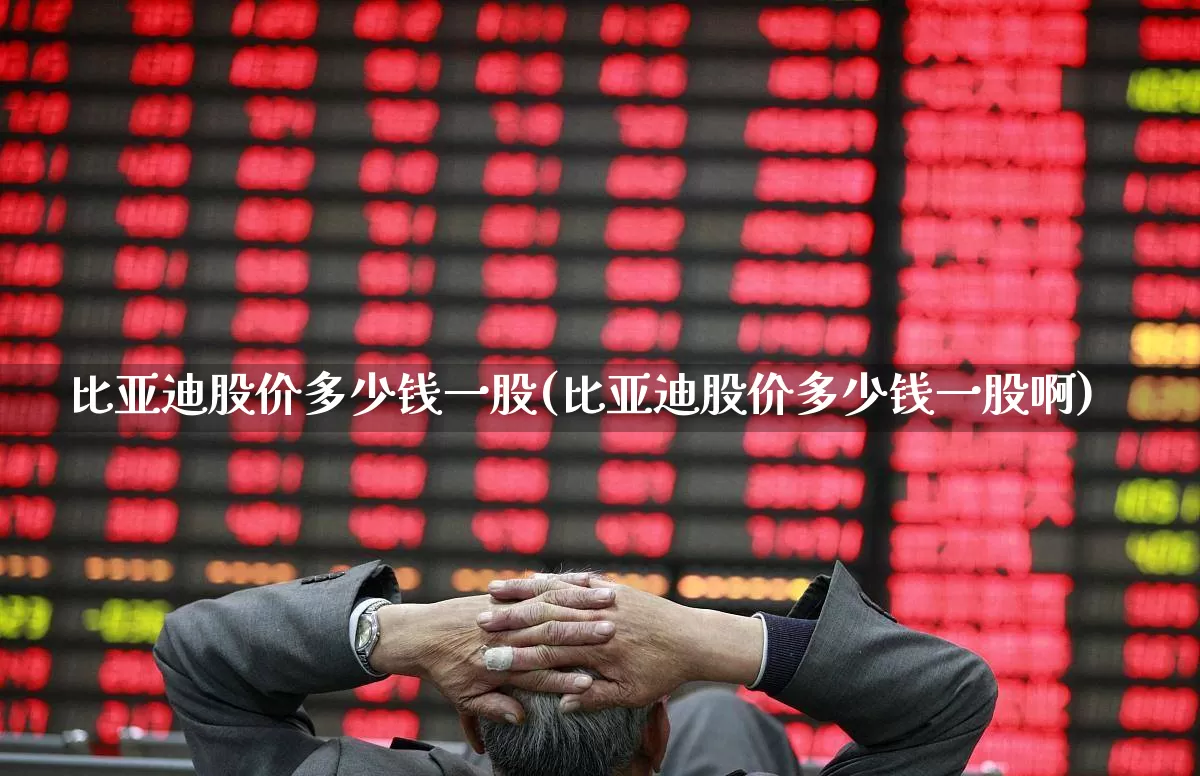比亚迪股价多少钱一股(比亚迪股价多少钱一股啊)_https://www.xzdzcjx.com_北交所_第1张